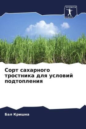 Krishna |  Sort saharnogo trostnika dlq uslowij podtopleniq | Buch |  Sack Fachmedien