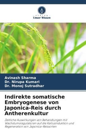 Sharma / Kumari / Sutradhar |  Indirekte somatische Embryogenese von Japonica-Reis durch Antherenkultur | Buch |  Sack Fachmedien