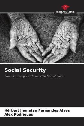 Jhonatan Fernandes Alves / Rodrigues |  Social Security | Buch |  Sack Fachmedien