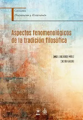 Yáñez / Gonzalez / Gibu Shimabukuro |  Aspectos fenomenológicos de la tradición filosófica | eBook | Sack Fachmedien