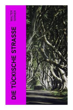 Serner |  Die tückische Straße | Buch |  Sack Fachmedien