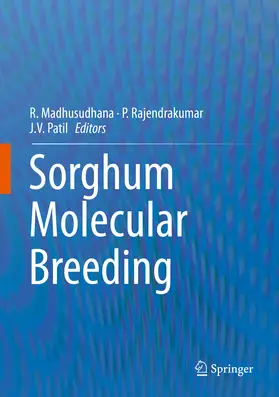 Madhusudhana / Rajendrakumar / Patil |  Sorghum Molecular Breeding | eBook | Sack Fachmedien