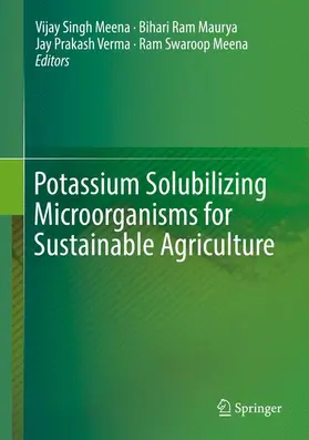 Meena / Maurya / Verma |  Potassium Solubilizing Microorganisms for Sustainable Agriculture | Buch |  Sack Fachmedien