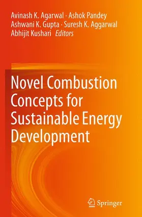Agarwal / Pandey / Gupta |  Novel Combustion Concepts for Sustainable Energy Development | Buch |  Sack Fachmedien