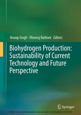 Singh / Rathore |  Biohydrogen Production: Sustainability of Current Technology and Future Perspective | eBook | Sack Fachmedien