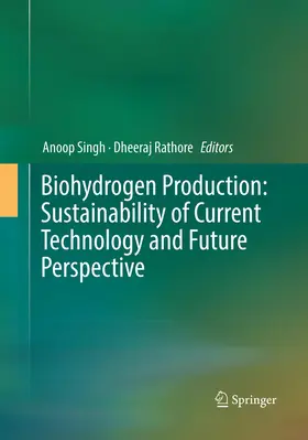 Singh / Rathore |  Biohydrogen Production: Sustainability of Current Technology and Future Perspective | Buch |  Sack Fachmedien
