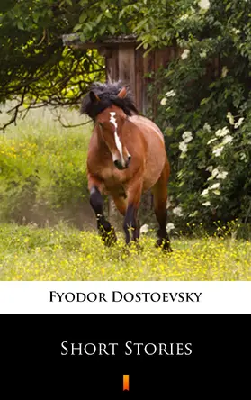 Dostoevsky |  Short Stories | eBook | Sack Fachmedien