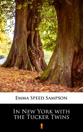 Sampson |  In New York with the Tucker Twins | eBook | Sack Fachmedien