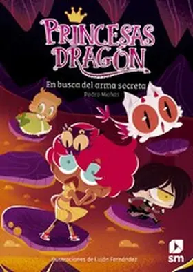 Mañas Romero |  Princesas Dragón 13: En busca del arma secreta | eBook | Sack Fachmedien