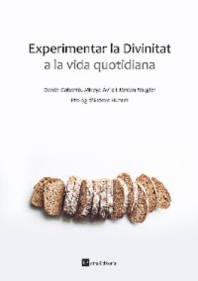 Gabarró / Ávila / Faugier |  Experimentar la Divinitat a la vida quotidiana | eBook | Sack Fachmedien