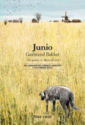 Bakker |  Junio | eBook | Sack Fachmedien