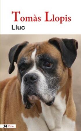 Llopis |  Lluc | eBook | Sack Fachmedien