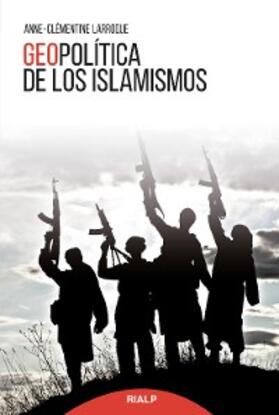 Larroque |  Geopolítica de los islamismos | eBook | Sack Fachmedien