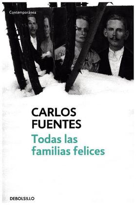 Fuentes |  Todas las familias felices | Buch |  Sack Fachmedien