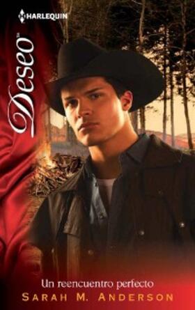 Anderson |  Un reencuentro perfecto | eBook | Sack Fachmedien