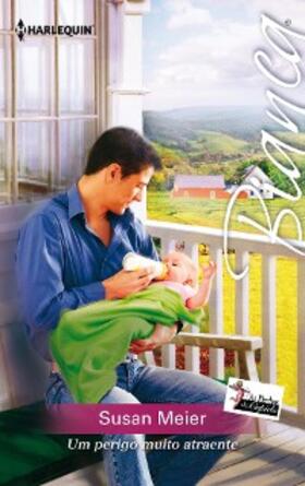 Meier |  Um perigo muito atraente | eBook | Sack Fachmedien