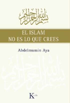 Aya |  El Islam no es lo que crees | eBook | Sack Fachmedien