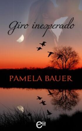 Bauer |  Giro inesperado | eBook | Sack Fachmedien