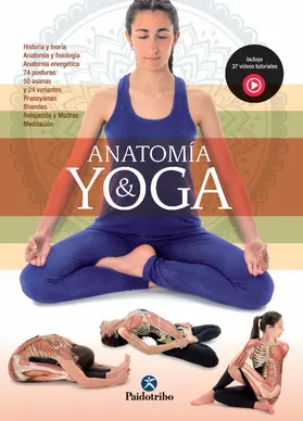 Patiño Coll |  Anatomía & Yoga (Color) | eBook | Sack Fachmedien