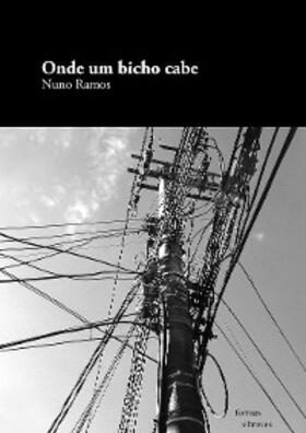 Ramos |  Onde um bicho cabe | eBook | Sack Fachmedien