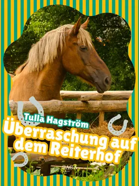 Hagström |  Überraschung auf dem Reiterhof | eBook | Sack Fachmedien