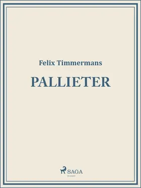 Timmermans |  Pallieter | eBook | Sack Fachmedien