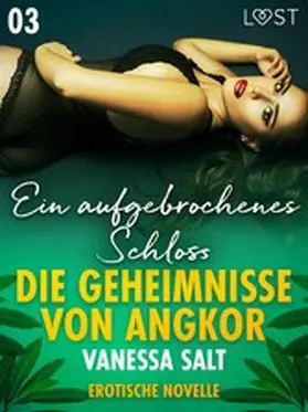 Salt |  Die Geheimnisse von Angkor 3: Ein aufgebrochenes Schloss - Erotische Novelle | eBook | Sack Fachmedien