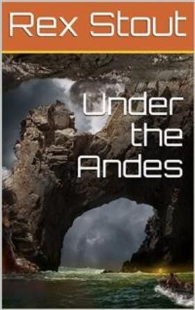 Stout |  Under the Andes | eBook | Sack Fachmedien