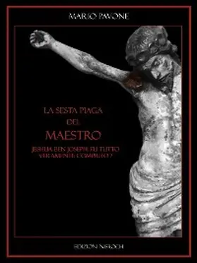 Pavone |  La sesta piaga del Maestro | eBook | Sack Fachmedien