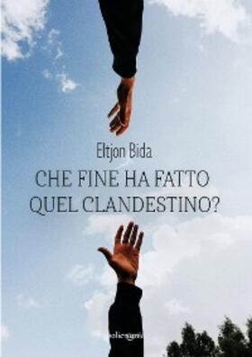 Bida |  Che fine ha fatto quel clandestino? | eBook | Sack Fachmedien