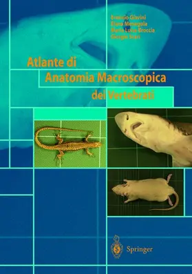 Giavini / Scari / Menegola |  Atlante di Anatomia Macroscopica dei Vertebrati | Buch |  Sack Fachmedien