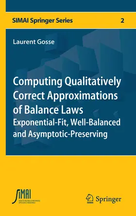 Gosse | Computing Qualitatively Correct Approximations of Balance Laws | E-Book | sack.de