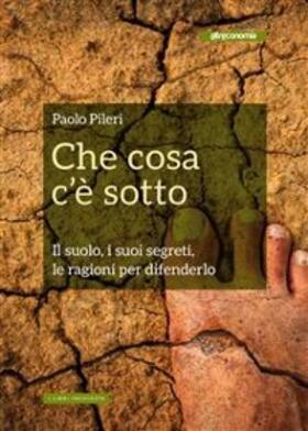 Pileri |  Che cosa c'è sotto | eBook | Sack Fachmedien