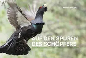 Moling |  Auf den Spuren des Schöpfers | Buch |  Sack Fachmedien