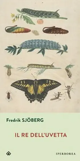 Sjöberg |  Il re dell'uvetta | eBook | Sack Fachmedien