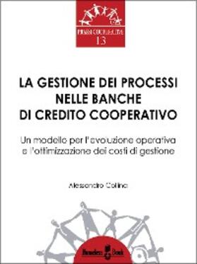 Collina |  La gestione dei processi nelle Banche di Credito Cooperativo | eBook | Sack Fachmedien