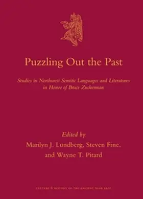 Lundberg / Fine / Pitard |  Puzzling Out the Past | Buch |  Sack Fachmedien