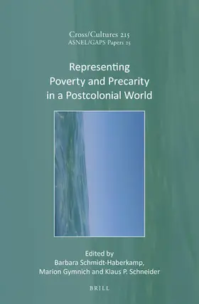  Representing Poverty and Precarity in a Postcolonial World | Buch |  Sack Fachmedien