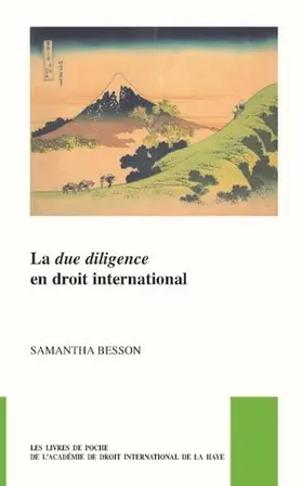 Besson |  La &lt;i&gt;due diligence&lt;/i&gt; en droit international | Buch |  Sack Fachmedien