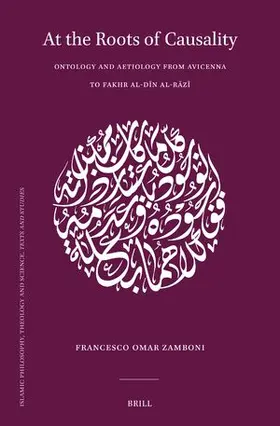 Zamboni |  At the Roots of Causality | Buch |  Sack Fachmedien