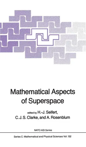 Seifert / Rosenblum / Clarke |  Mathematical Aspects of Superspace | Buch |  Sack Fachmedien