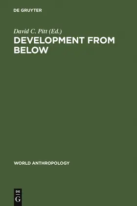 Pitt |  Development from Below | Buch |  Sack Fachmedien