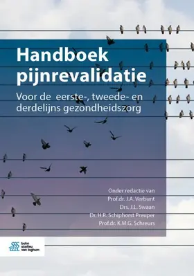 Verbunt / Swaan / Schiphorst Preuper |  Handboek pijnrevalidatie | Buch |  Sack Fachmedien