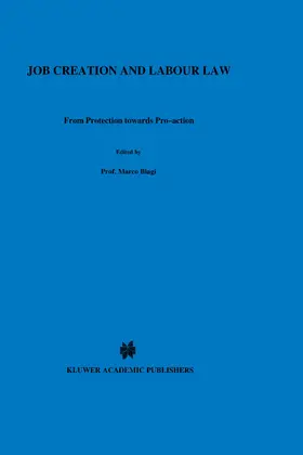 Biagi | Job Creation and Labour Law: From Protection Towards Pro-Action | Buch | 978-90-411-1432-7 | sack.de