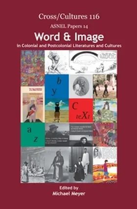  Word & Image in Colonial and Postcolonial Literatures and Cultures | Buch |  Sack Fachmedien