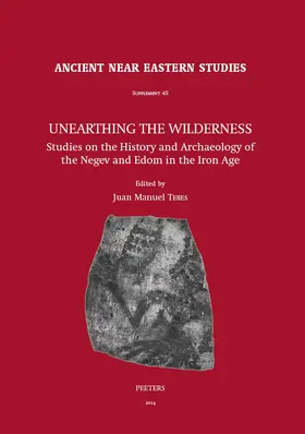 Tebes |  Unearthing the Wilderness: Studies on the History and Archaeology of the Negev and Edom in the Iron Age | Buch |  Sack Fachmedien