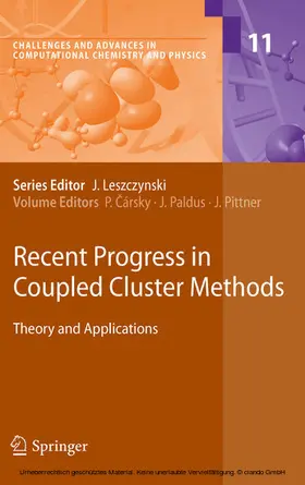 Cársky / Paldus / Pittner | Recent Progress in Coupled Cluster Methods | E-Book | sack.de