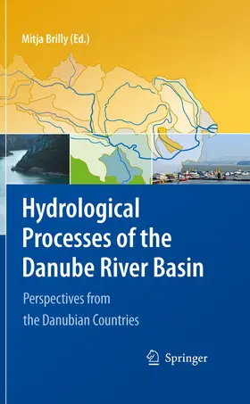 Brilly | Hydrological Processes of the Danube River Basin | E-Book | www2.sack.de