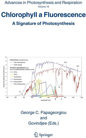 Papageorgiou / Govindjee |  Chlorophyll a Fluorescence | Buch |  Sack Fachmedien