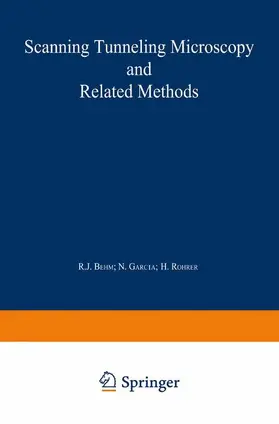 Behm / Rohrer / García | Scanning Tunneling Microscopy and Related Methods | Buch | 978-90-481-4075-6 | sack.de